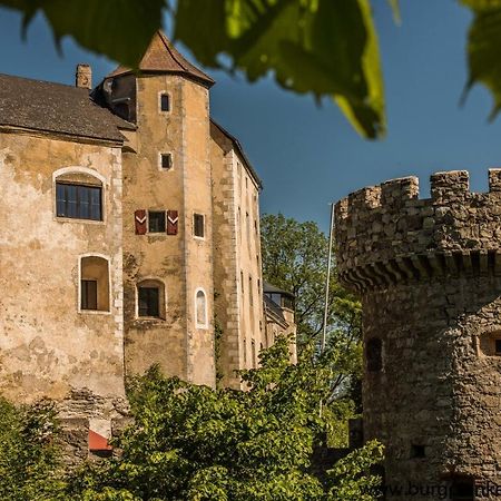 Готель Burg Plankenstein Texing Екстер'єр фото