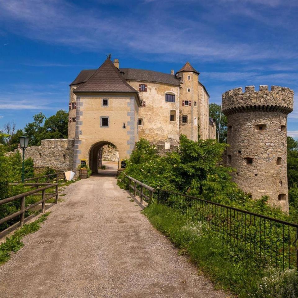 Готель Burg Plankenstein Texing Екстер'єр фото