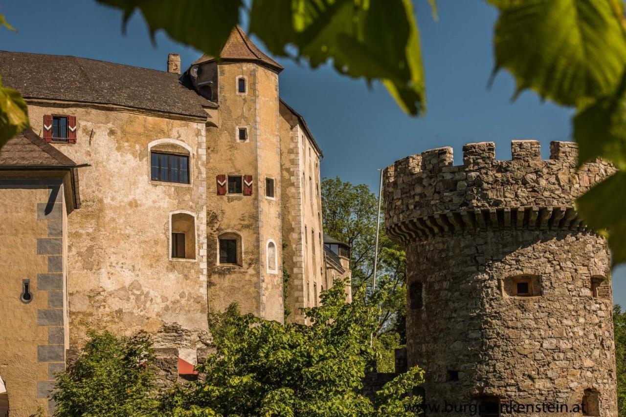 Готель Burg Plankenstein Texing Екстер'єр фото