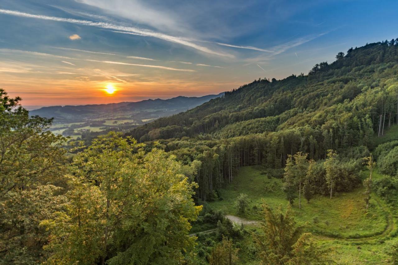 Готель Burg Plankenstein Texing Екстер'єр фото