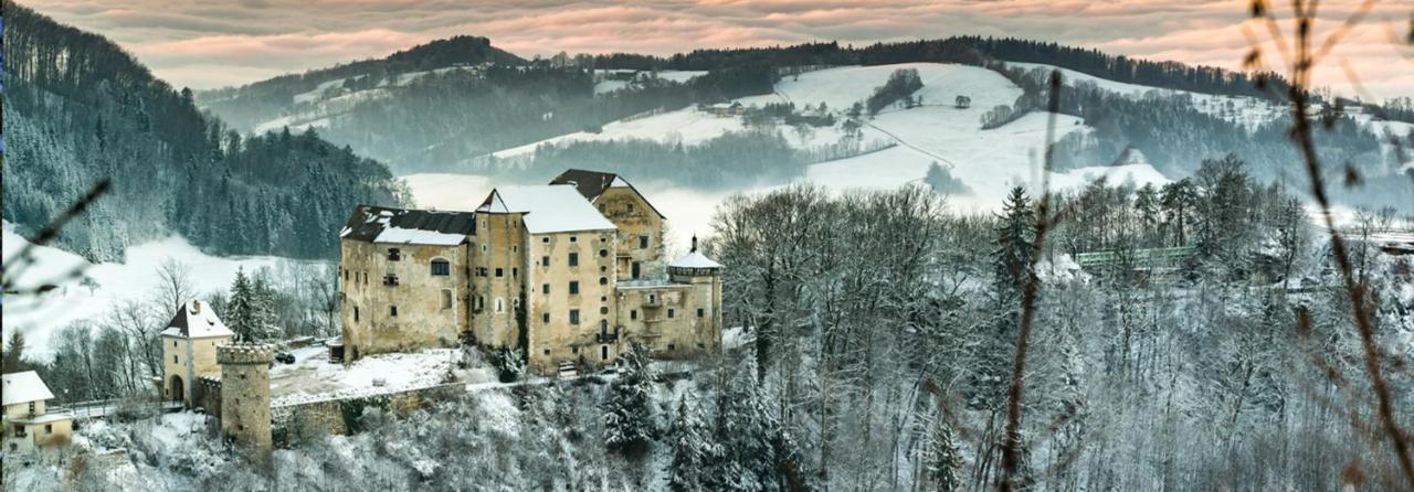 Готель Burg Plankenstein Texing Екстер'єр фото