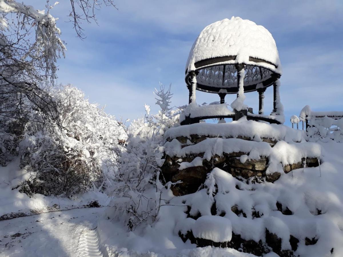 Готель Burg Plankenstein Texing Екстер'єр фото